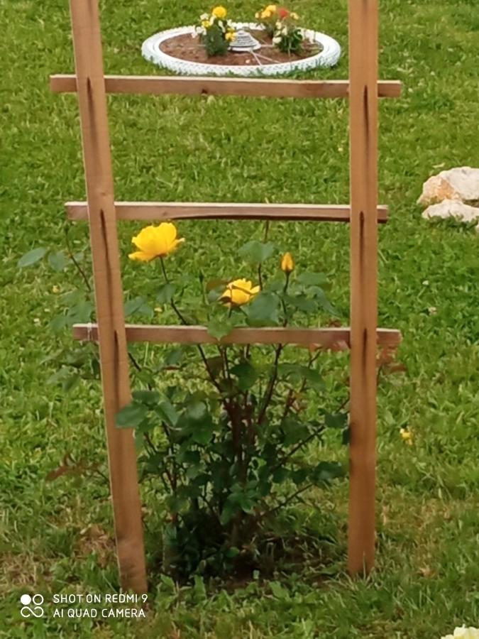 Yellow Rose Rakovica Exterior photo
